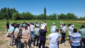 Field Day Uzbekistan July 2024 Field Day Uzbekistan July 2024