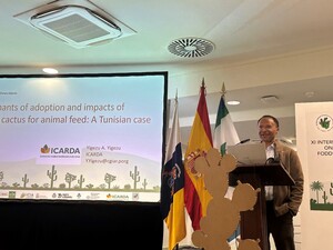 Yigezu Atnafe Yigezu, 