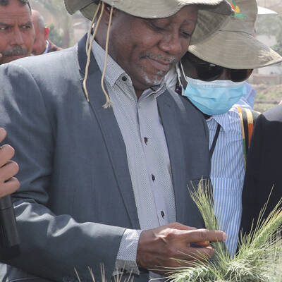 AFRica Rice DG AFRica Rice DG