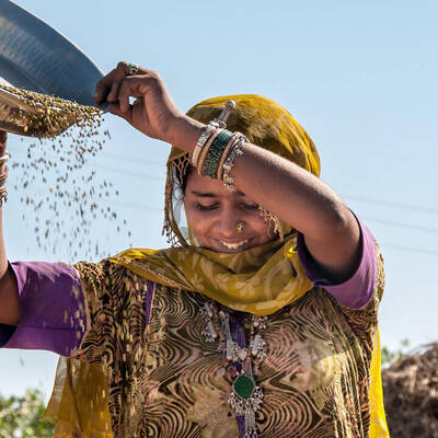 Indian farmer with lentil Indian farmer with lentil