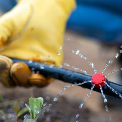 Drip Irrigation