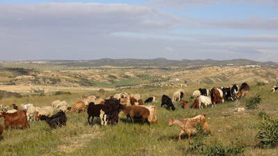 World Day to Combat Desertification and Drought 2024