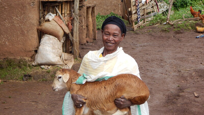 Ayelech holding sheep