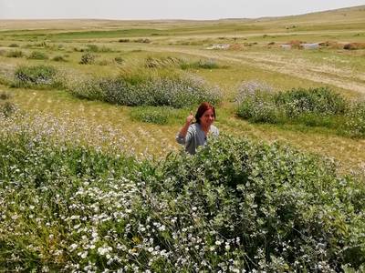 Exploring Jordan’s Rangeland Transition State