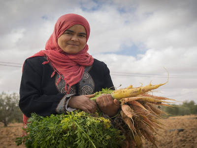 Growing vegetables in Tunisia. Photo: ICARDA