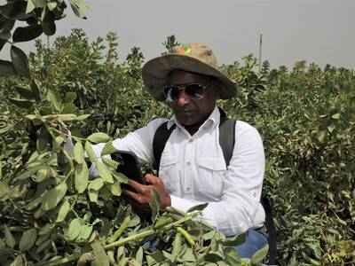 Dr. Chandrashekhar Biradar in the field