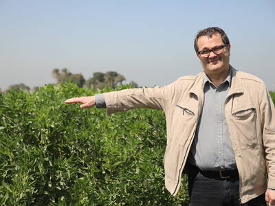 Dr. Michael Baum in faba bean field