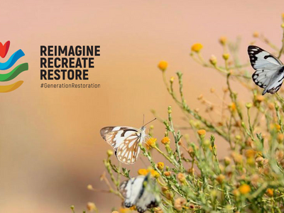 World Environment Day 2021