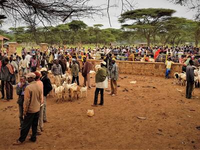 Goat Market in Ethiopia