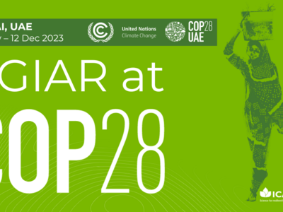 ICARDA AT COP28