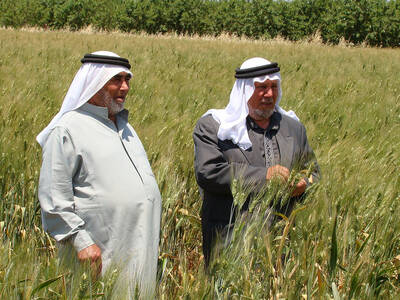 Enhancing Food Security in Arab Countries (2011 - 2023)