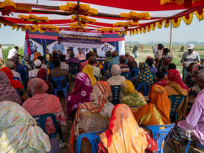 Field Day Bangladesh_Photo by Michael Major, Cropt Trust