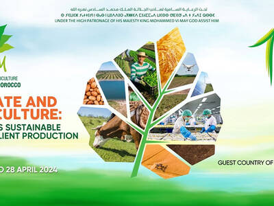 ICARDA at SIAM 2024