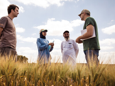 From left to right: ICARDA/BOLD’s Drs. Miguel Sanchez, Meryem Zeim, and Filippo Bassi talking with a farmer who evaluated the Jawahir durum wheat variety on his farm located in the dry region of Safi in Morocco. Photo Credit: Ahmed Isamili/ Crop Trust 