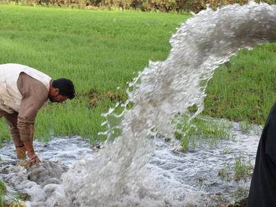 ICARDA works with partners to make ecosystems more resilient in the face of climate change and social challenges