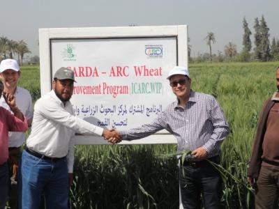 The collaboration between ICARDA and Egypt’s Agricultural Research Center aims to boost resilience and enhance food security in the region