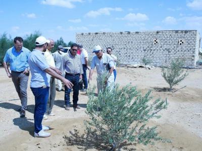 ICARDA team in El-Moghra (Photo: Aladdin Hamwieh)