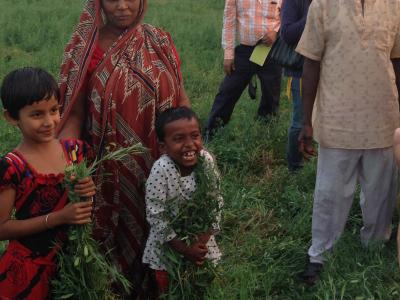 Farmers’ Field Day participants take a close look at the BARIMasur-8 crop