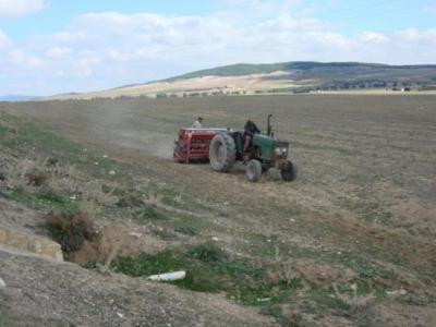 A Zero Tillage seeder on fragile and degraded cereal land in North East Tunisia (Photo credit: INGC Tunisia).