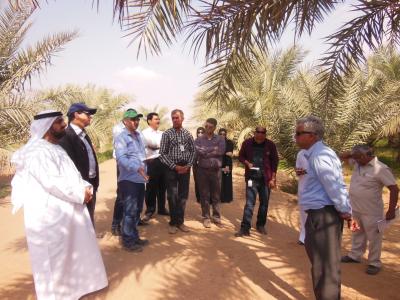 Participants of the training workshop with IPM experts during field visit