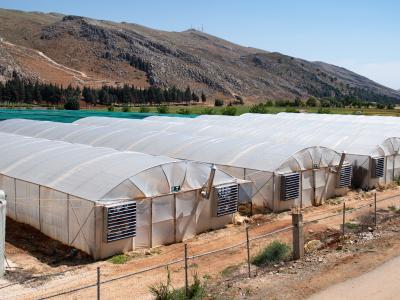 Plastic houses, ICARDA Terbol Station in Lebanon. Photo: Michael Major/Crop Trust