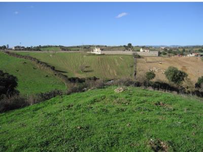 A landscape showing different severity levels of land degradation related to different farming practices (photo credit: Claudio Zucca)