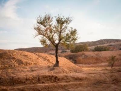 The Mediterranean region – predicted to be among the worst affected by climate change – requires improved technology transfer to farmers. 