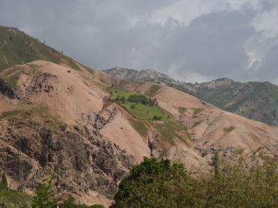 A protected plot on a degraded hillside in the Vazrob Valley, Tajikistan