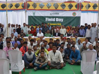 At ICARDA’s Amlaha Station, farmers get a chance to learn about improved varieties and new production technologies