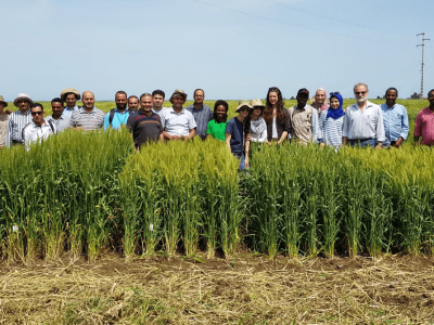  Participants attended a three-week training comprising theoretical and practical sessions. Photo: Courtesy of Wuletaw Tadesse