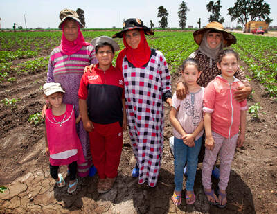 Family ICARDA’s family farming research helps improve rural community incomes