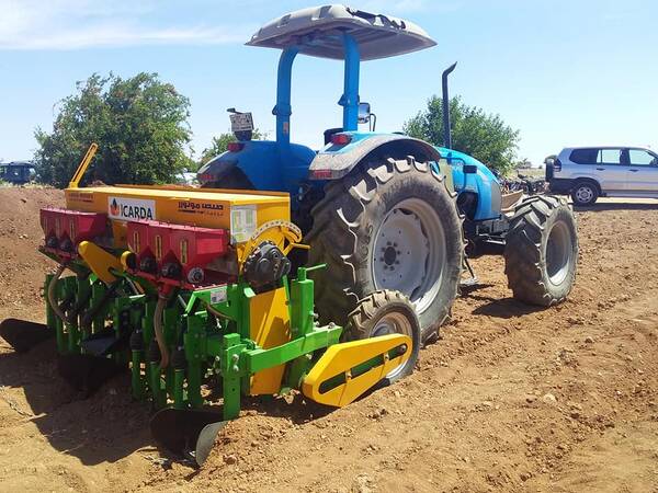 Raised-bed machine