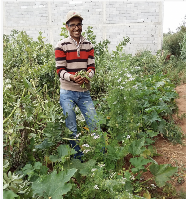 Farmers harvest more and better quality due to FAP. Photo: Stefanie Christmann Farmers harvest more and better quality due to FAP. Photo: Stefanie Christmann