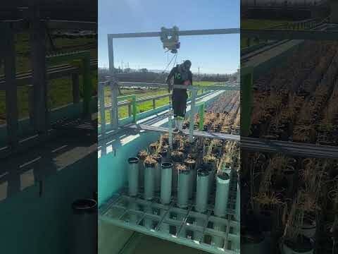 Demo of Phenotyping