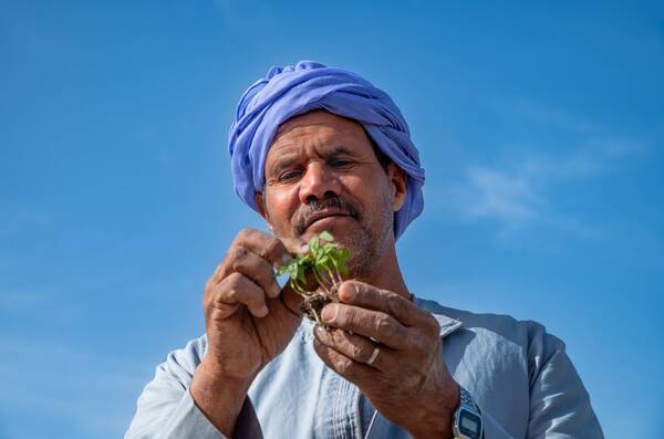 Farmer holding a crop