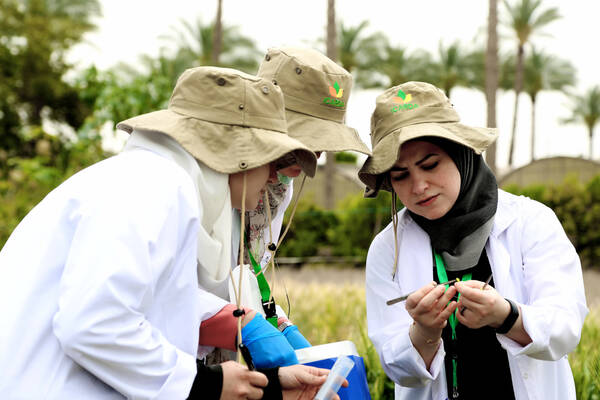 ICARDA Researchers