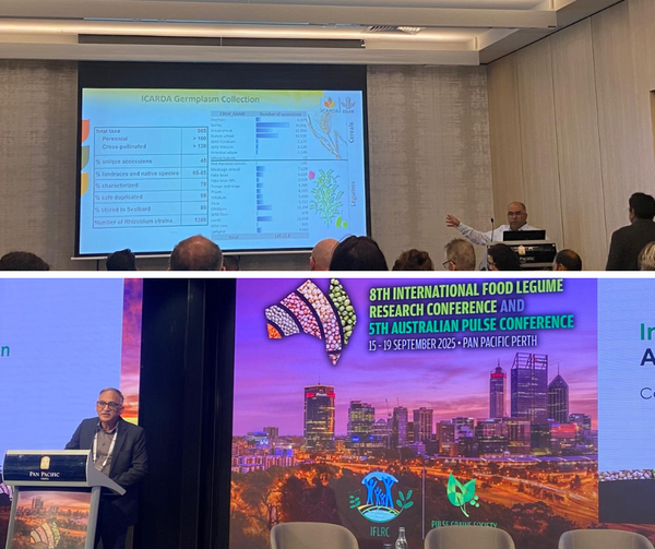 Dr. Shiv Kumar Agrawal and Dr. Fouad Maalouf sharing insights on driving genetic gain in legumes Dr. Shiv Kumar Agrawal and Dr. Fouad Maalouf sharing insights on driving genetic gain in legumes