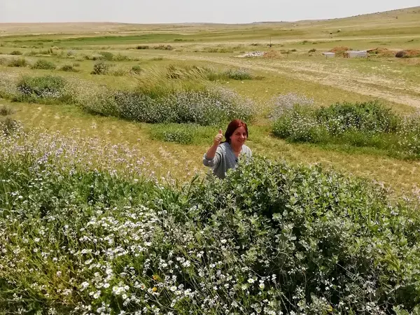 Exploring Jordan’s Rangeland Transition State