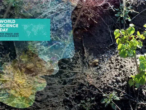 World Science Day for Peace and Development