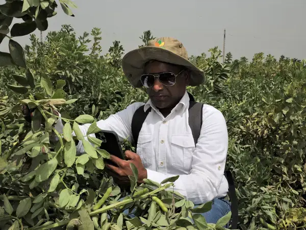 Dr. Chandrashekhar Biradar in the field
