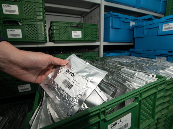 Genebank Manager Athanasios Tsivelikas in base collection cold room in Morocco -- Photo by Michael Major