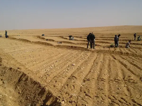 Recovering The Degraded Soils Of The Badia In Jordan Recovering The Degraded Soils Of The Badia In Jordan