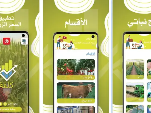 Kolfa app Tunisia