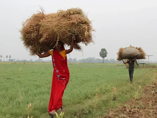 Female farmer in India