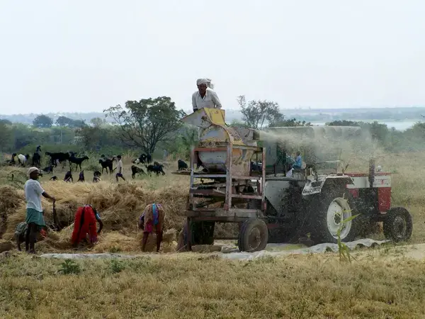 IKRI catalog of indigenous knowledge [credit: C. Biradar]