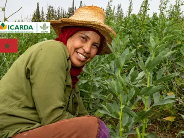 Moroc Launch Header 3