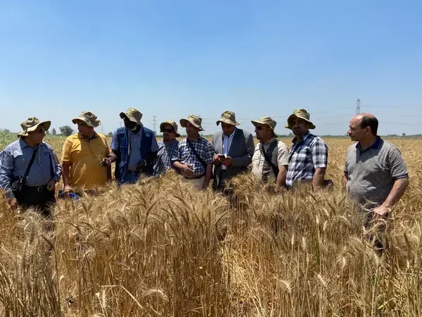 FAO-ICARDA Training Workshop for Iraqi Researchers