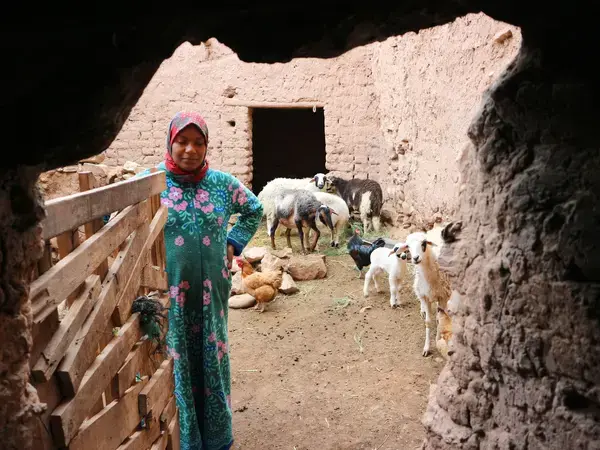Traditional household in a Moroccan city.