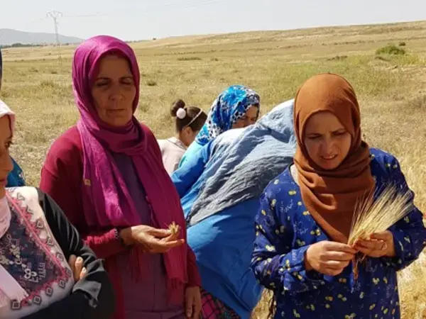 Female empowerment training in Central Tunisia 
