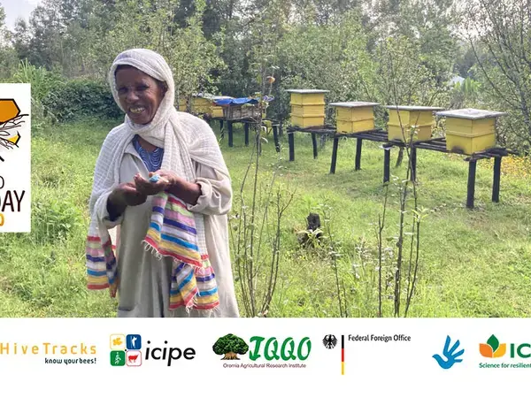 World Day Bee 2023